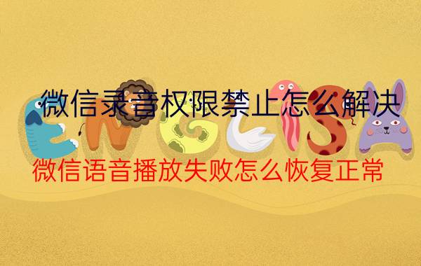 微信录音权限禁止怎么解决 微信语音播放失败怎么恢复正常？